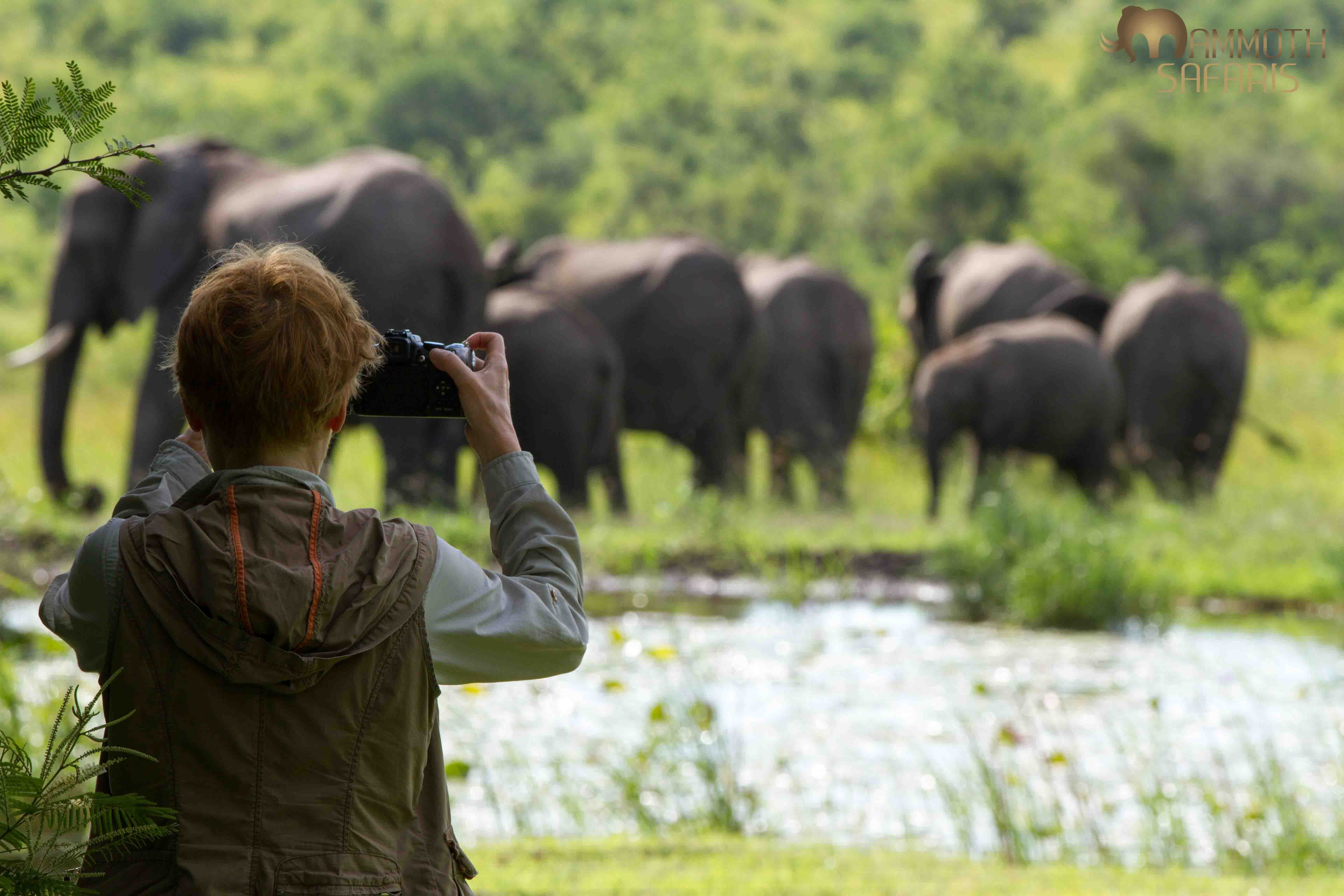 On Safari at Savanna Private Game Reserve - Mammoth Safaris